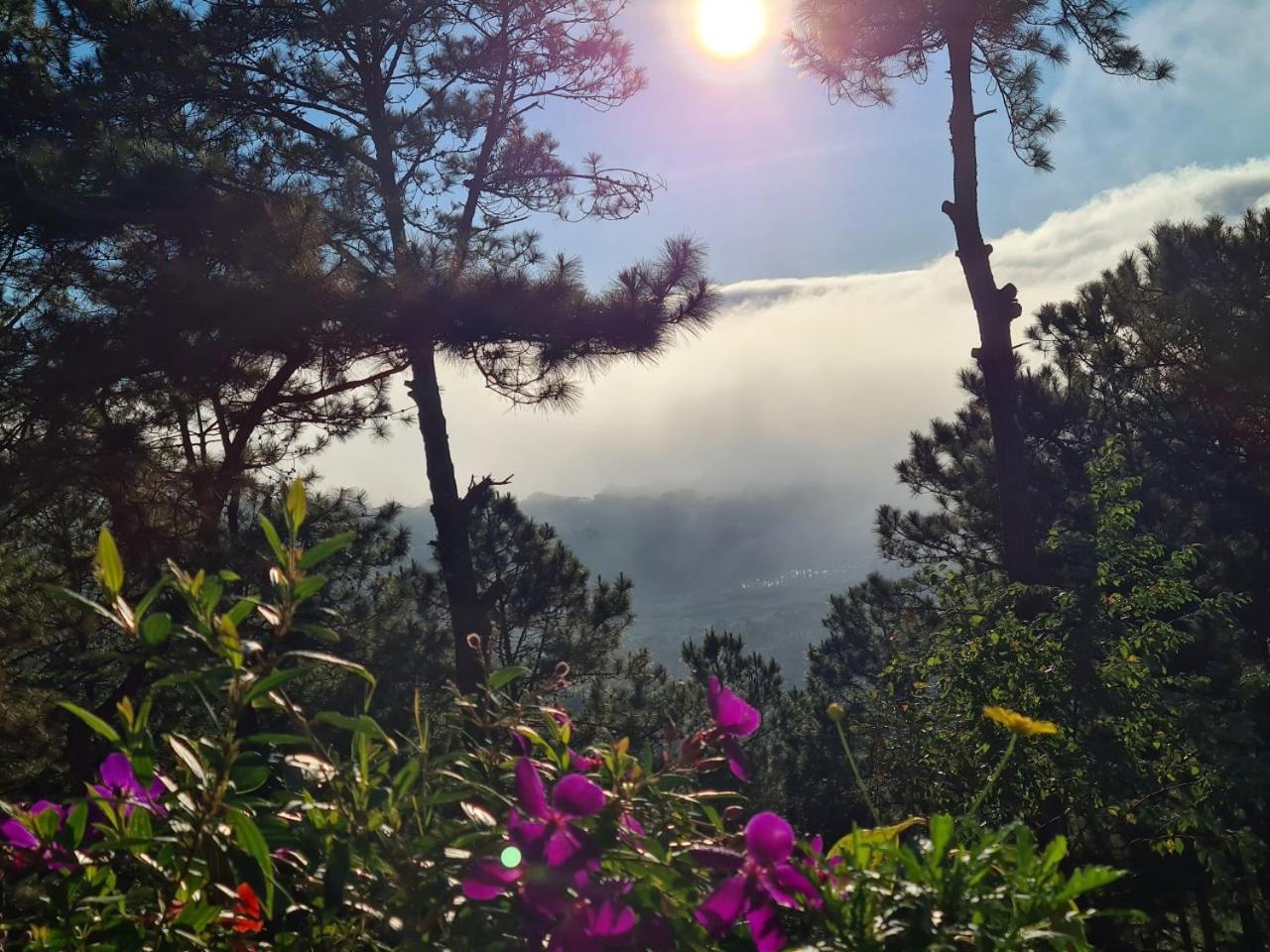 Love Hill Resort Νταλάτ Εξωτερικό φωτογραφία