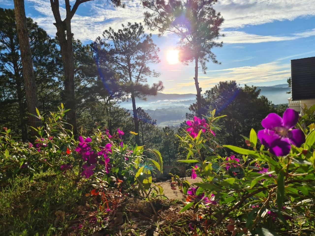 Love Hill Resort Νταλάτ Εξωτερικό φωτογραφία