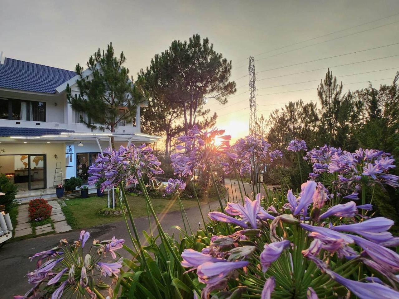 Love Hill Resort Νταλάτ Εξωτερικό φωτογραφία